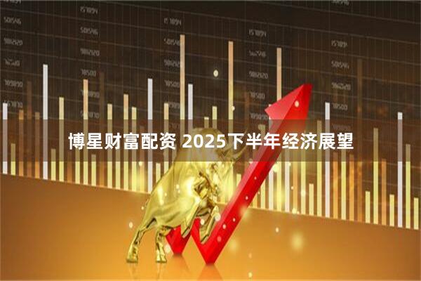 博星财富配资 2025下半年经济展望