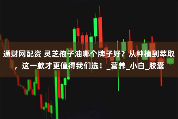 通财网配资 灵芝孢子油哪个牌子好？从种植到萃取，这一款才更值得我们选！_营养_小白_胶囊