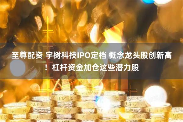 至尊配资 宇树科技IPO定档 概念龙头股创新高！杠杆资金加仓这些潜力股